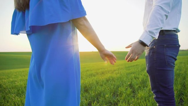 Couple in love holds hand and kisses each other on spring wheat field