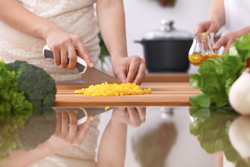 Closeup of two women are cooking in a kitchen. Friends having fun while preparing fresh salad