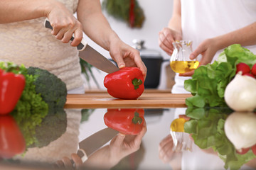 Closeup of two women are cooking in a kitchen. Friends having fun while preparing fresh salad
