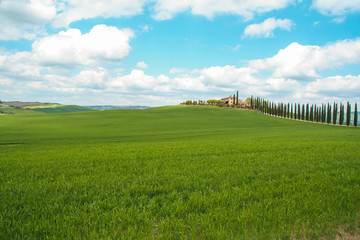 Obraz premium Landscape of tuscan countryside in spring
