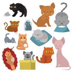 Cute cats character different pose funny animal domestic kitten vector illustration.