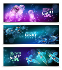 Underwater Colorful Horizontal Banners Set 