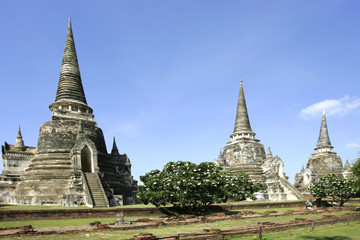 Fototapeta premium 138738.JPG