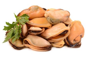 mussels on a white background