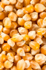 Closeup macro flat lay above raw popcorn for advertising