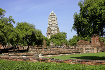Fototapeta premium 138707.JPG