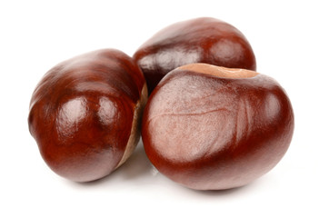 Chestnuts on a white background