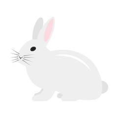 Flat icon rabbit isolated on white background. Vector illustration.