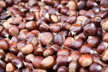 Closeup of a group of chestnuts .