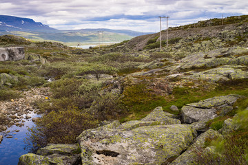 Hardangervidda
