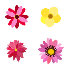 Set of colored flowers on a white background, Vector illustration