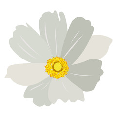 Isolated colored flower on a white background, Vector illustration