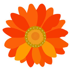 Isolated colored flower on a white background, Vector illustration