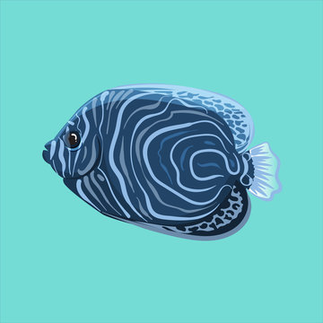 Vector surgeonfish