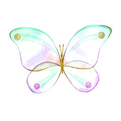 Watercolor color butterfly drawing
