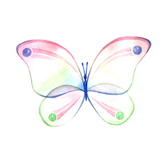 Watercolor color butterfly drawing