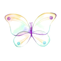 Watercolor color butterfly drawing
