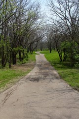 Obraz premium the long walkway the park on a sunny day.