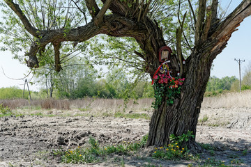 kapliczka na drzewie © ftomasz