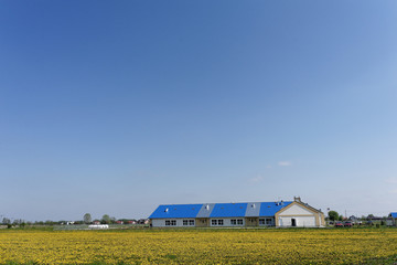budynek z niebieskim dachem 