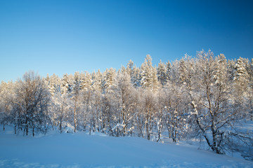 Winter landscape in Urho Kekkonen National Park, Finland.