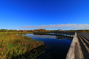 Fototapeta premium Green Cay Wetlands