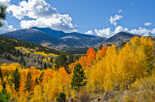 DAutumn in the Mountains of Colorado © Shelley