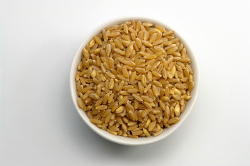 Cup of Wheat