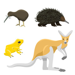 Australia wild animals cartoon popular nature characters flat style mammal collection vector illustration.