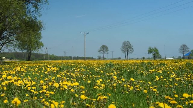 słup elektryczny na łące 