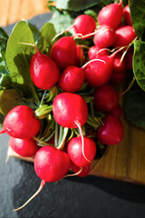 Fresh ingredients for healthy salad – red radish