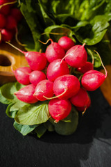 Fresh ingredients for healthy salad – red radish and green lettuce