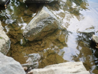 Clear water creek