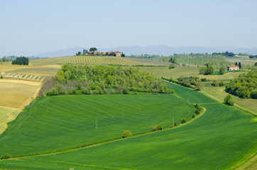 Farm with Vineyards and Fields in Tuscany, Italy