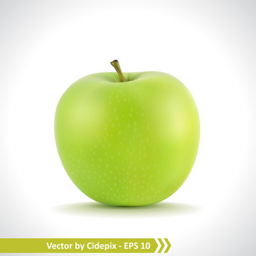 Realistic Illustration of a Green Apple