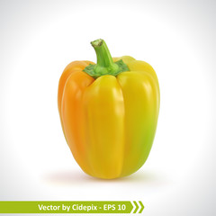 Realistic Illustration of a Yellow Pepper