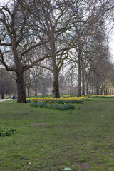 London Park