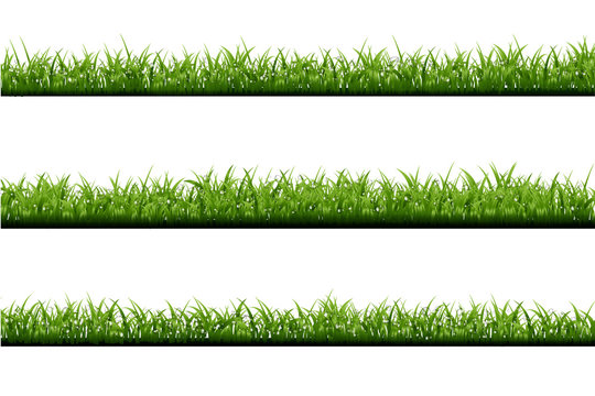 Vector realistic isolated green grass borders with dew on the white background for decoration.