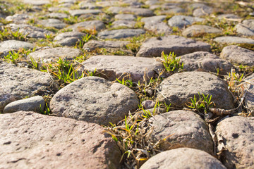 Road paved of stone background texture with grass