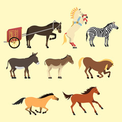 Horse pony stallion isolated different breeds color farm equestrian animal characters vector illustration.