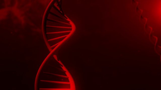 Red DNA Strand slow motion - 3D Animation
