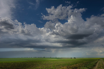 Fototapeta na wymiar green wheat field and storm clouds