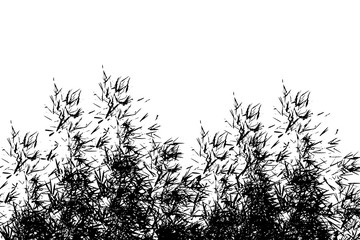 dark tone of branch and tree