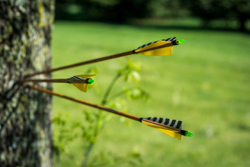 Three arrows stuck in a tree with yellow feathers 