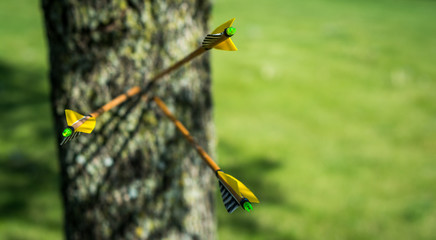 Three arrows stuck in a tree with yellow feathers 