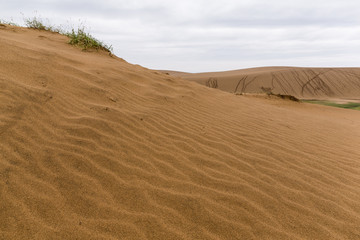 Tottori Sand Dunes