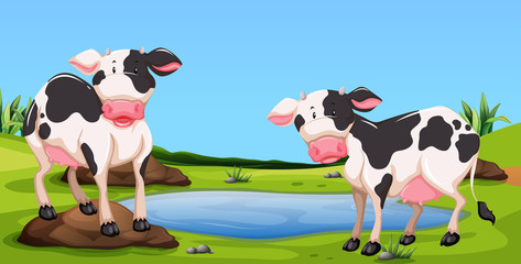Obraz na płótnie Canvas Two cows standing in farmyard