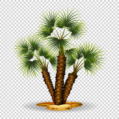 Gardening theme wtih palm tree