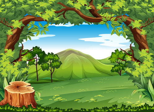 Mountain scene with green trees
