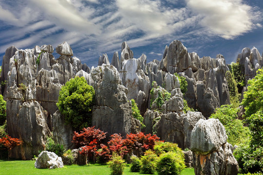 Fototapeta The Stone Forest in the Yunnan Province in China